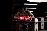 Gorilla Wear Ashton Pro Boxing Gloves