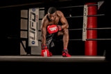 Gorilla Wear Ashton Pro Boxing Gloves