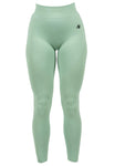 Gorilla Wear Whitney Seamless Leggings - Kaikki värit