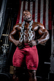 Gorilla Wear Smart Shorts - Kaikki värit